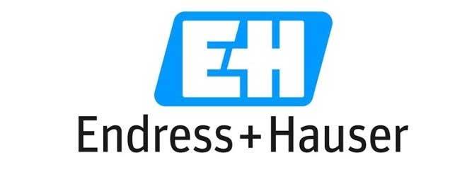 ENDRESS+HAUSER PROCESS ANALYSIS SUPPORT SARL